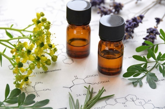 An Introduction to Aromatherapy